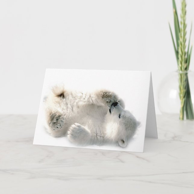 Carte Ours polaire Cube Animal Arctic Froid Hiver (Devant)