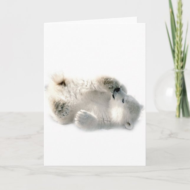 Carte Ours polaire Cube Animal Arctic Froid Hiver (Devant)