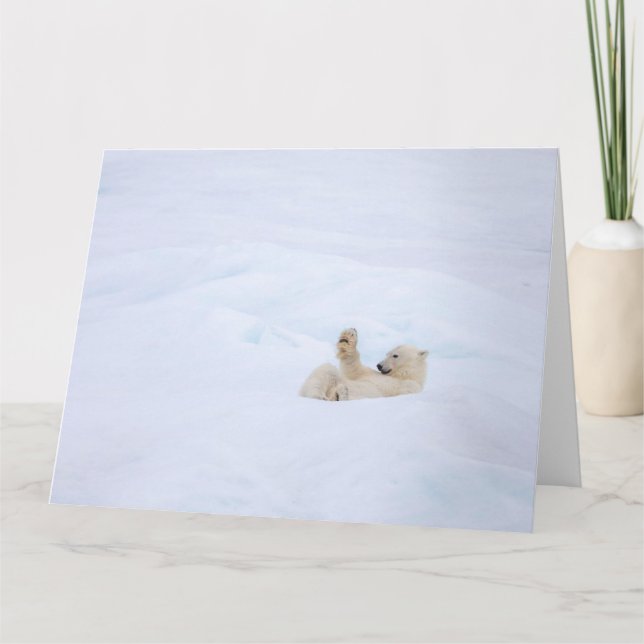 Carte Ours polaire dans la neige (Devant)