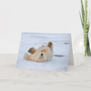Carte ours polaire, Ursus maritimus, ourson roulant 3