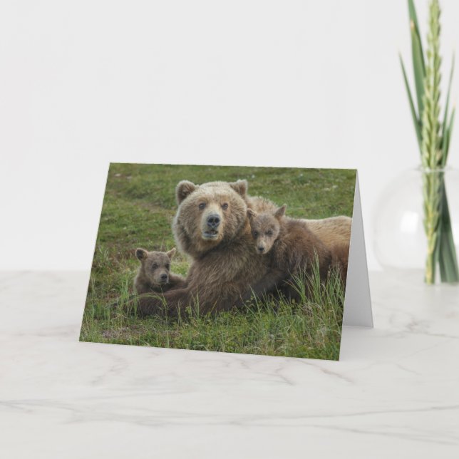 Carte Oursons bruns câlinant leur mère (Devant)