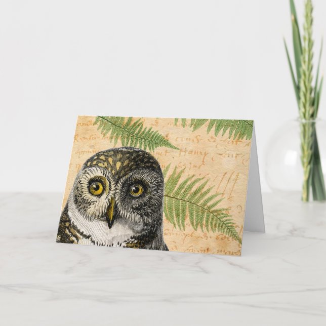 Carte Owl et Ferns Toutes les occasions (Devant)