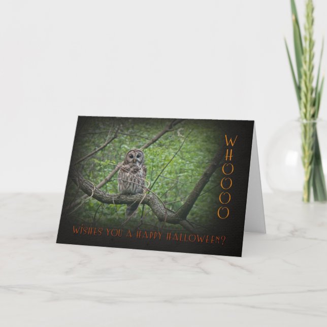 Carte Owl Halloween Whoo Vous Souhaite (Devant)