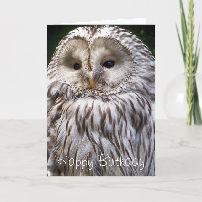 CARTE OWLS (Devant)
