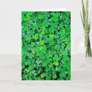Carte Oxalis des bois au printemps