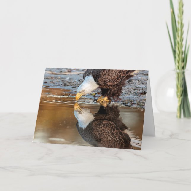 Carte Ozzie (Devant)