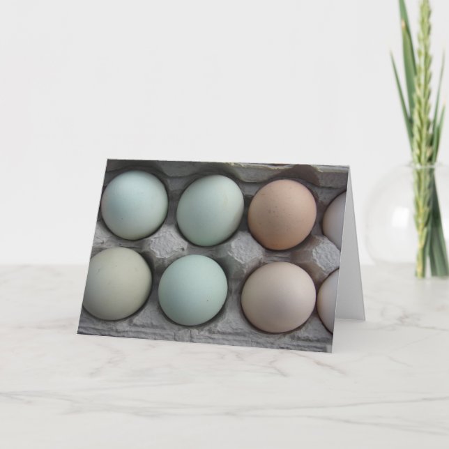 Carte Pack de variétés (Devant)