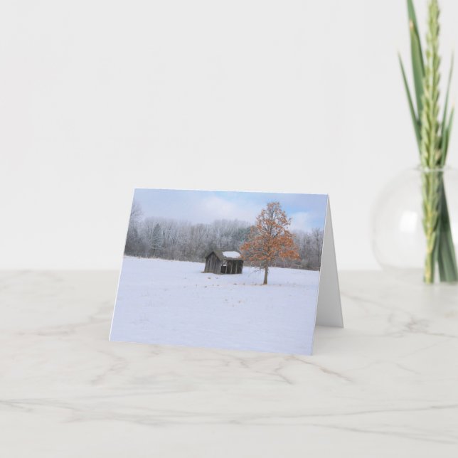 Carte Paddock couvert de neige (Devant)
