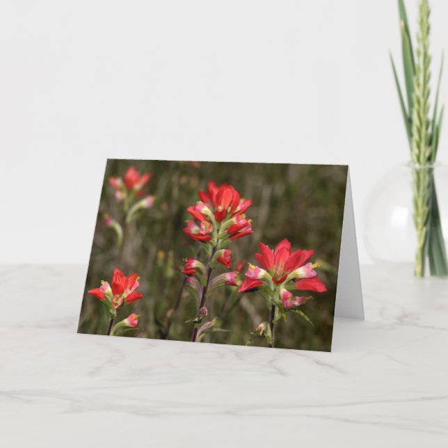 Carte Paint brush (Devant)