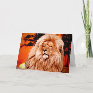Carte Paint photo Lion Orange African Sky