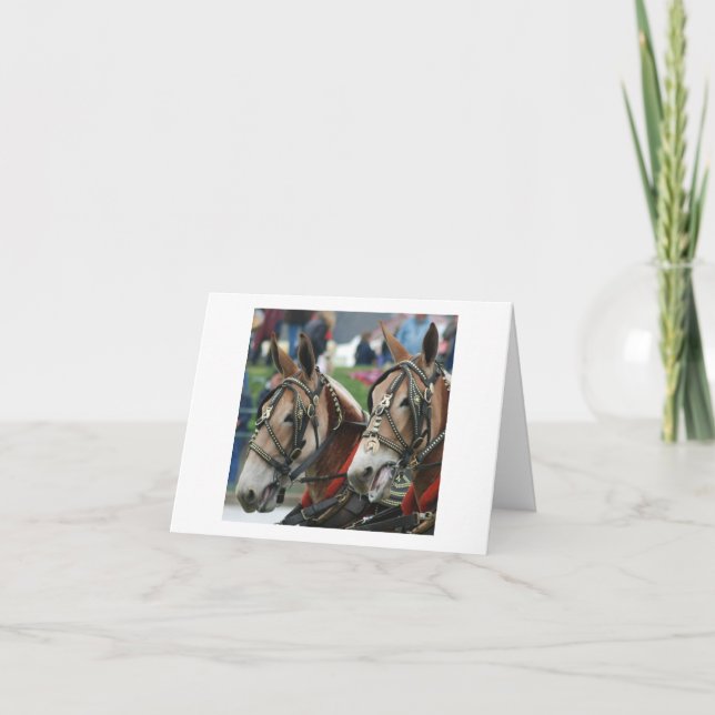 Carte Pair of mules in harness (Devant)