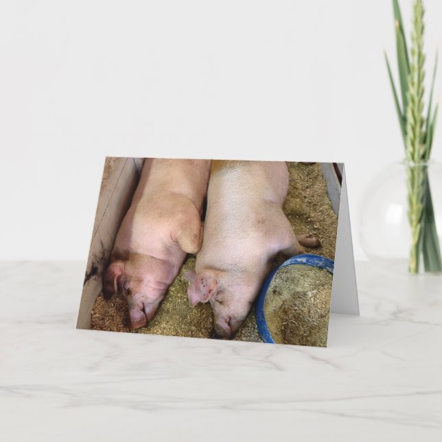 Carte Paire Anniversaire De Chiens En Pigpen (Devant)