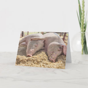 Carte Paire Anniversaire De Chiens En Stylo