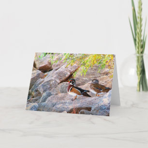 Carte Paire de canard en bois Toutes les occasions