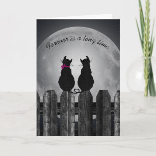 Carte paire de chats amoureux au clair de lune