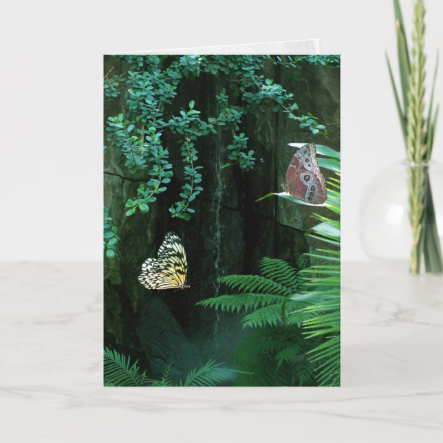 Carte Paire de papillons dans le jardin tropical sympath (Devant)