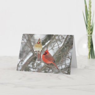 Carte Paires de cardinaux du nord