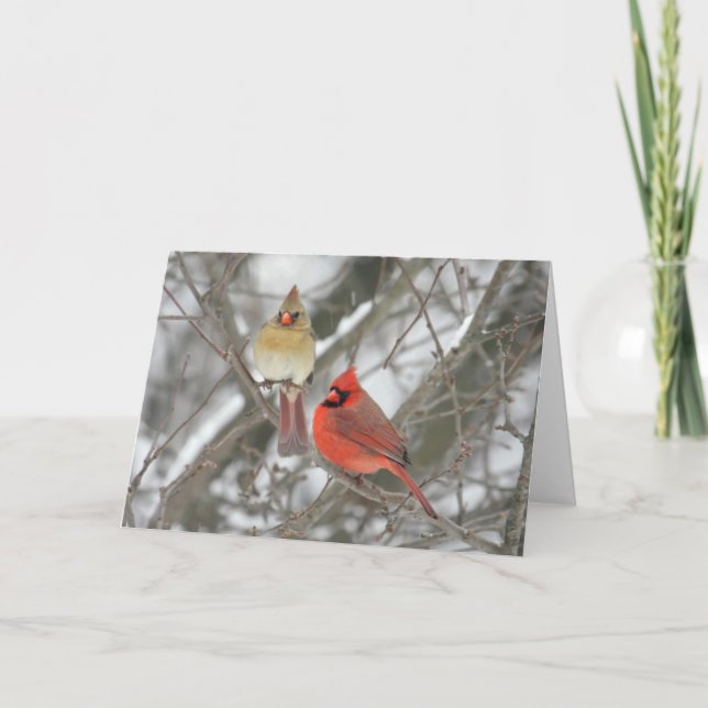 Carte Paires de cardinaux du nord (Devant)