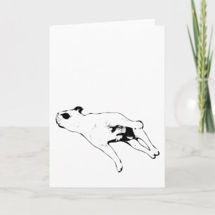 Carte Paix & Pattes