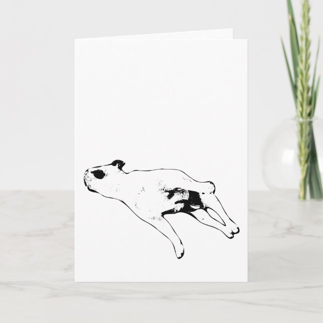 Carte Paix & Pattes (Devant)