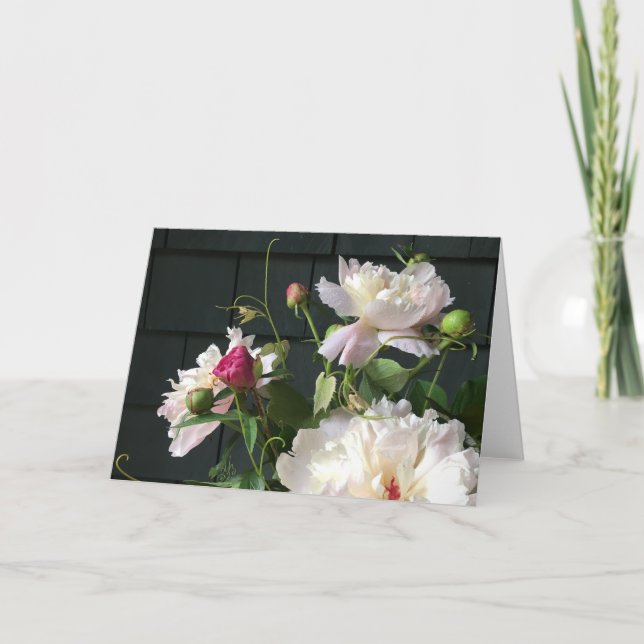 Carte Pale Pink Peonies 2020 par Diane Heller (Devant)