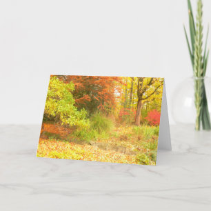 CARTE "PALETTE D'AUTOMNE" (WOODS AWASH EN COULEUR/PHOTOG