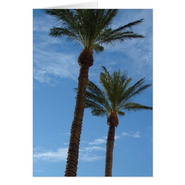 Carte Palm Trees (Devant)
