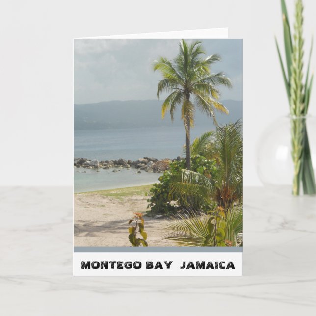 Carte Palmier, Montego Bay la Jamaïque en juin 2011 (Devant)