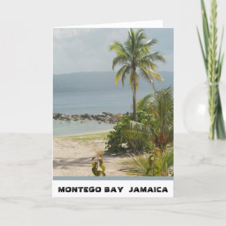 Carte Palmier, Montego Bay la Jamaïque en juin 2011