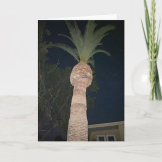 Carte Palmiers 🌴