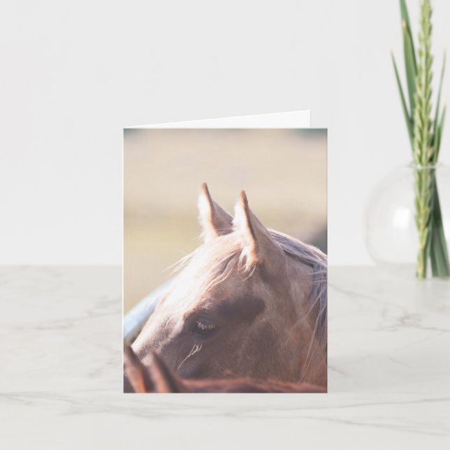 Carte Palomino Gold - 4" x 5,6" (Devant)
