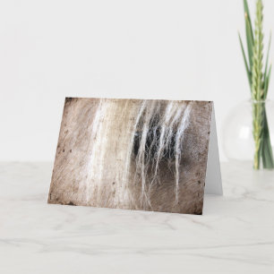 Carte Palomino Horse Grunge Anniversaire