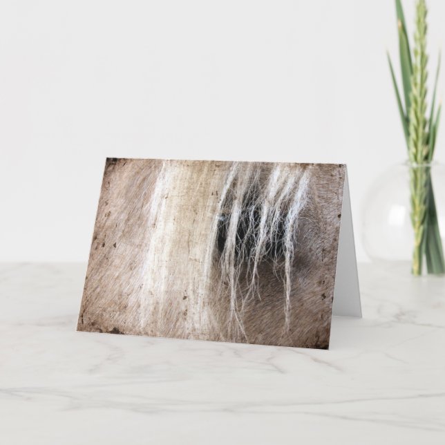 Carte Palomino Horse Grunge Anniversaire (Devant)