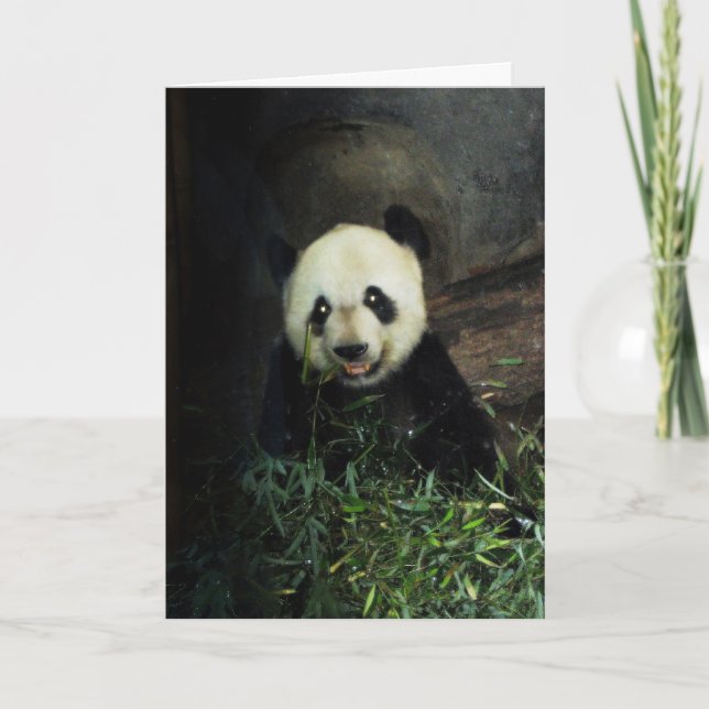 Carte Panda (Devant)