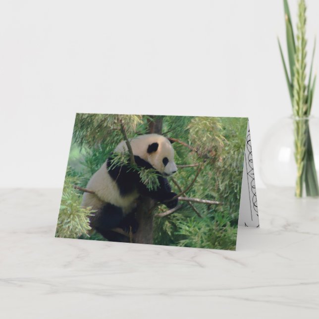 Carte Panda Bear Hugs (Devant)