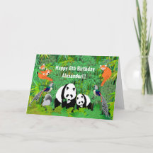 Panda et amis dans la forêt de Bamboo