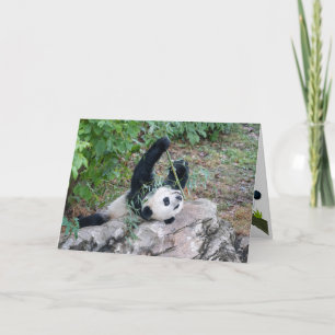 Carte Panda Géant Juste Chillaxin' Greeting Card