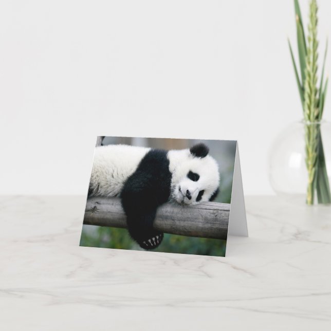 Carte Panda Hugging Post (Devant)