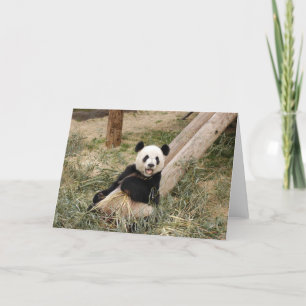 Carte Panda M001