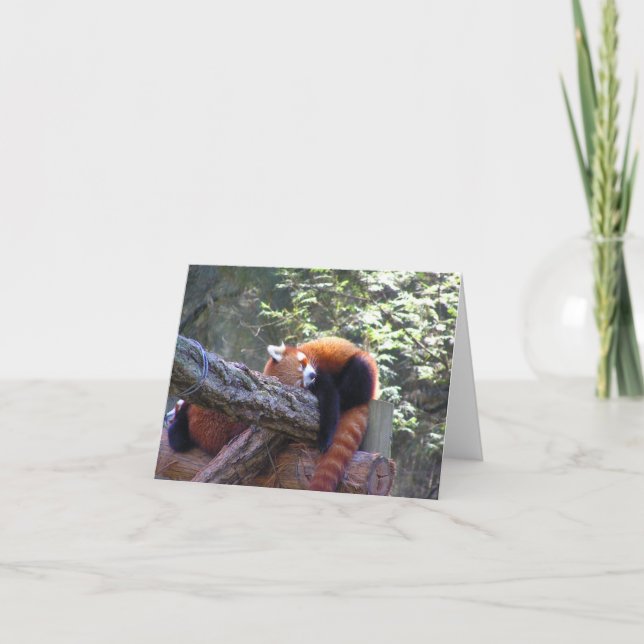 Carte Panda rouge dormant (Devant)