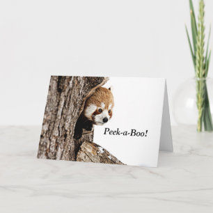 Carte Panda rouge jouant peek-a-boo !