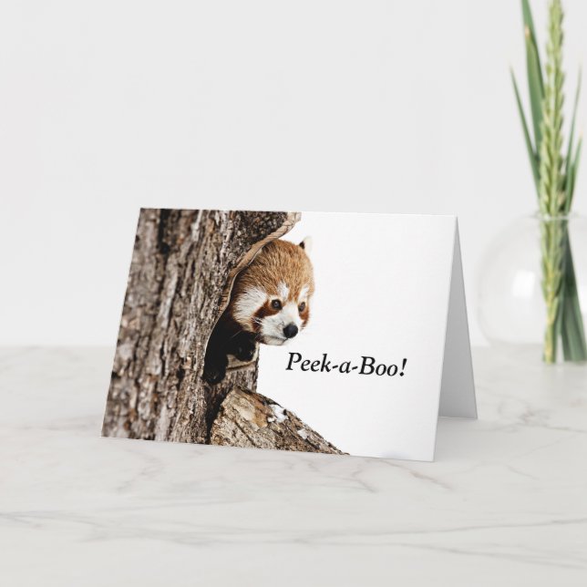 Carte Panda rouge jouant peek-a-boo ! (Devant)