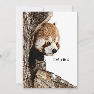 Carte Panda rouge qui regarde d'un arbre, Peek-a-Boo !