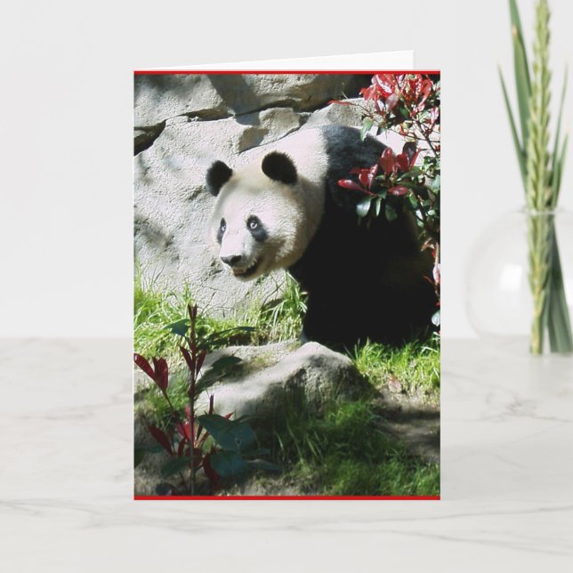 Carte Panda Smile (Devant)