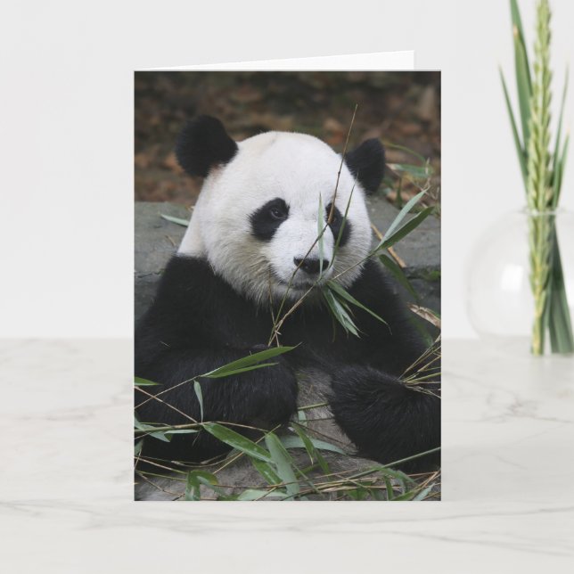 Carte Pandas géants à la protection de panda géant et (Devant)