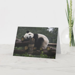Carte Pandas géants au centre de protection des pandas g