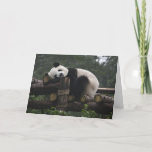 Carte pandas géants au Géant Panda Protection & 3