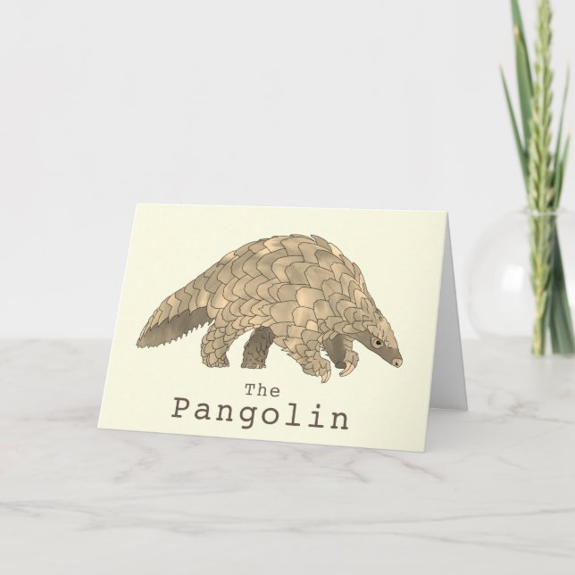 Carte Pangolin Faune Espèce Menacée Animal Art (Devant)
