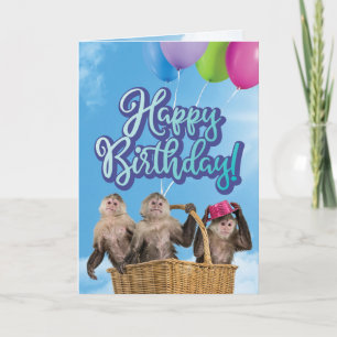 Carte Panier de singes et de ballons Anniversaire