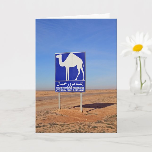 Carte Panneau de chameaux, Tunisie (Petite plante)